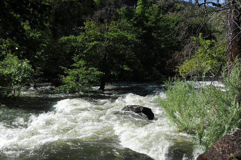 Rapid in Wards Canyon
