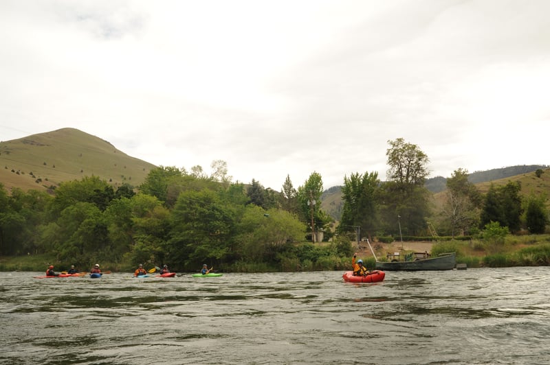Dant Ferry