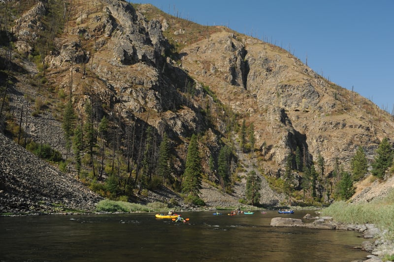 Downstream of Reed Camp