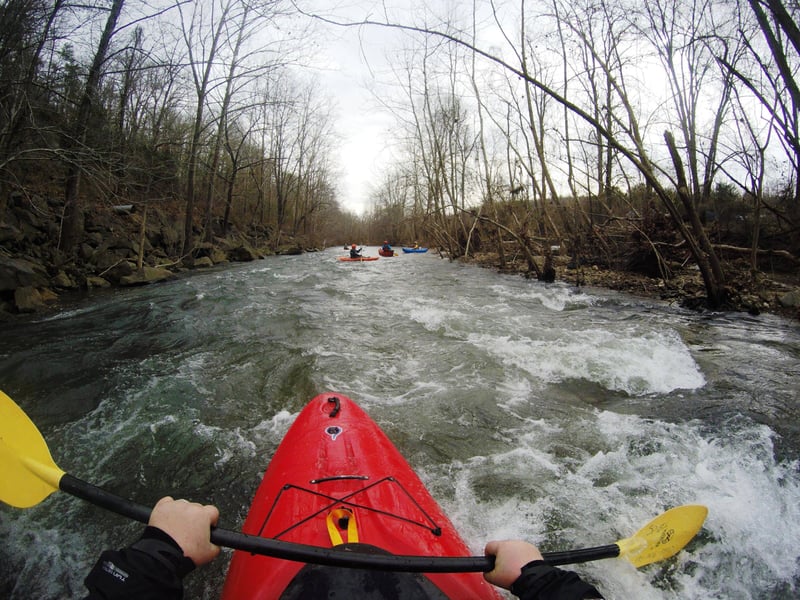 Piney River @Rose Mill Rd. to Tye River (S. Powell Island Rd.)