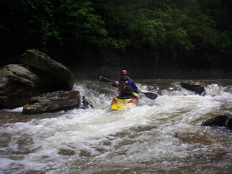 spring creek 2