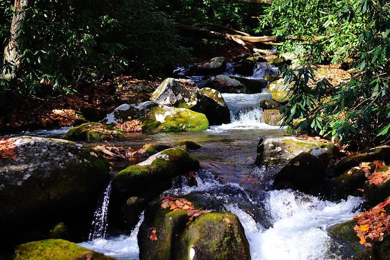  on Eagle Creek @Eagle Creek Trail to Fontana Lake