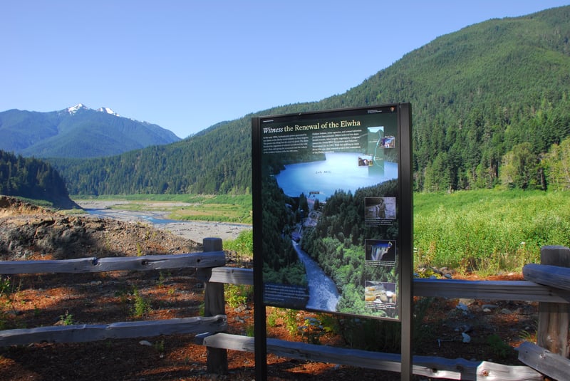 Glines Canyon Dam overlook