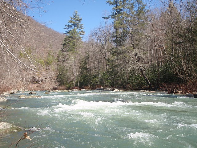 Anthony Creek