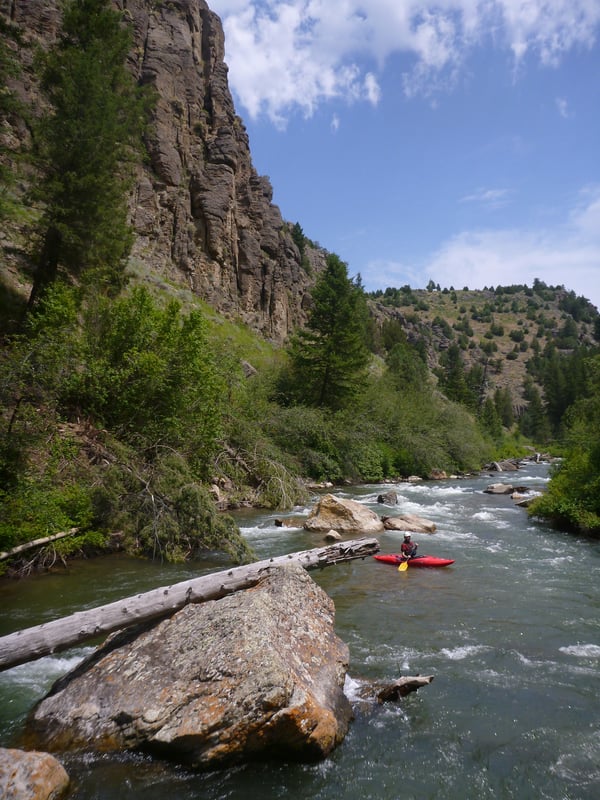 Awesome Bitch Creek scenery