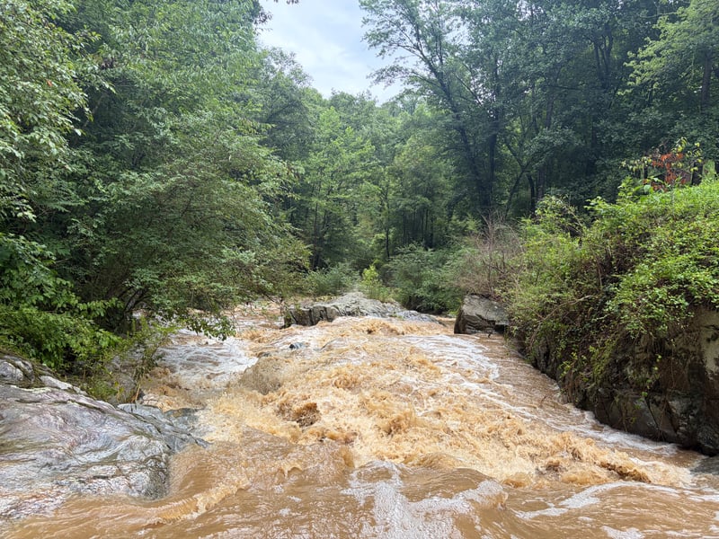 First Rapid