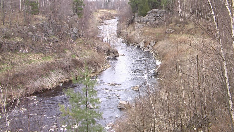 Prairie Dells
