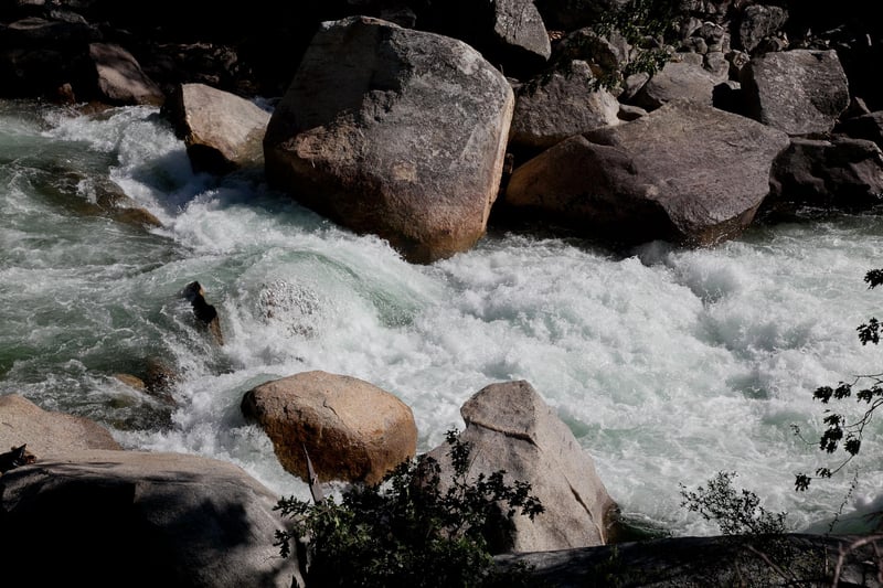 Close up of a Rapid