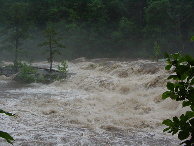Woodall Shoals