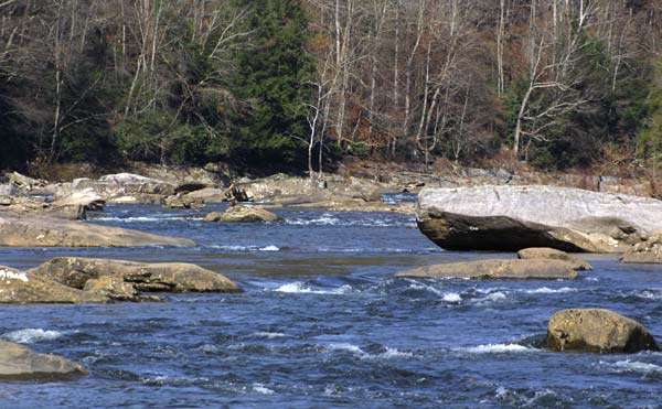 Top Gauley 04