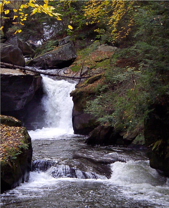 Middle Drop