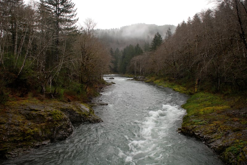 Wilson River