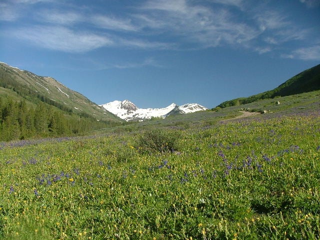 Oh-Be-Camping (SH)