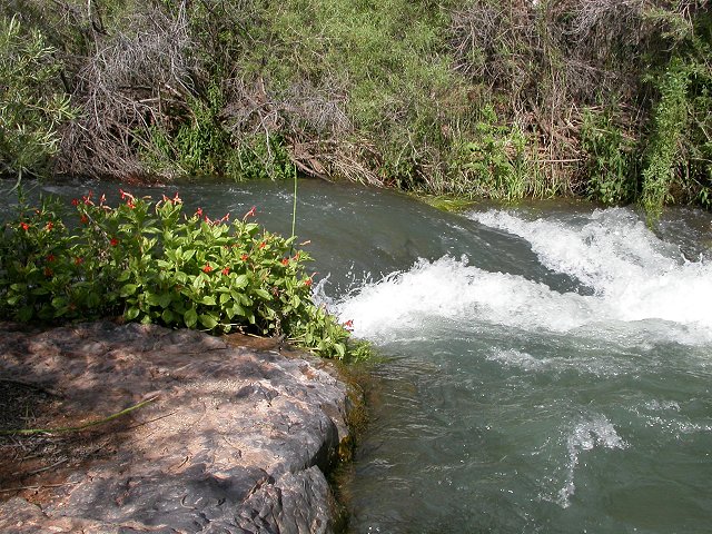 Tapeats Creek rapid