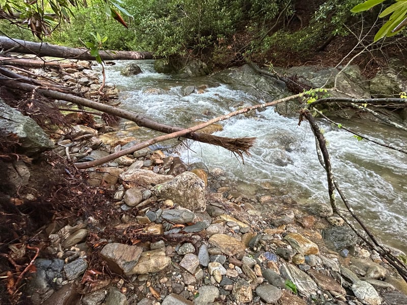 Rapid on Thunderhole Creek