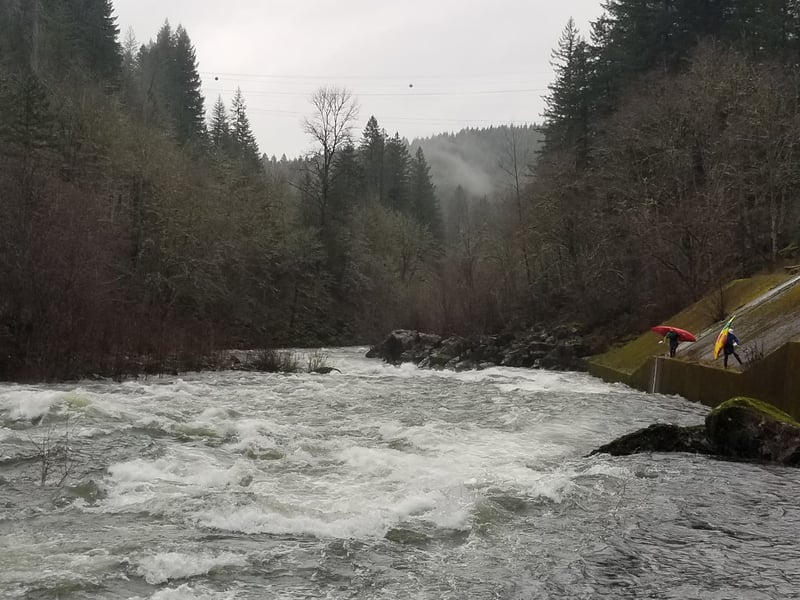  on Clackamas @4. Farday Diversion Dam to Farday Powerhouse
