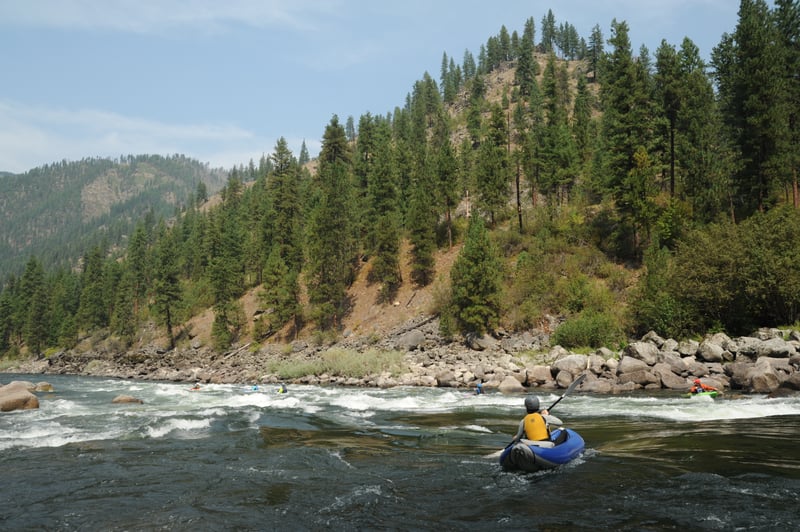 Bailey Rapid