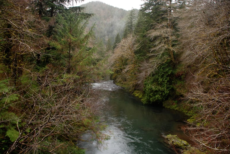Kilchis River
