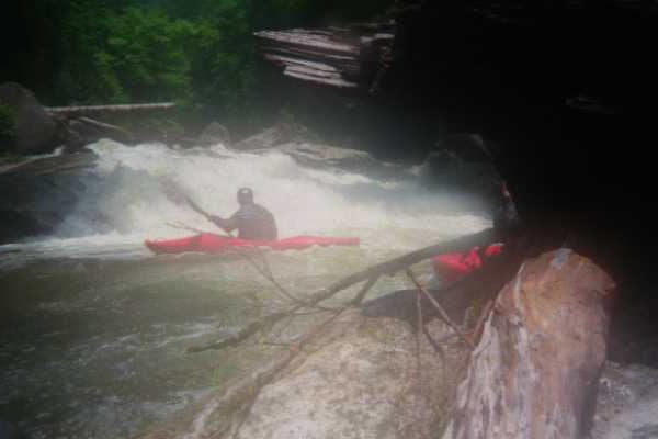 Raven Fork Buggie