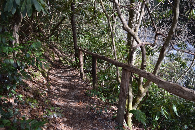 Takeout Trail at Bullpen