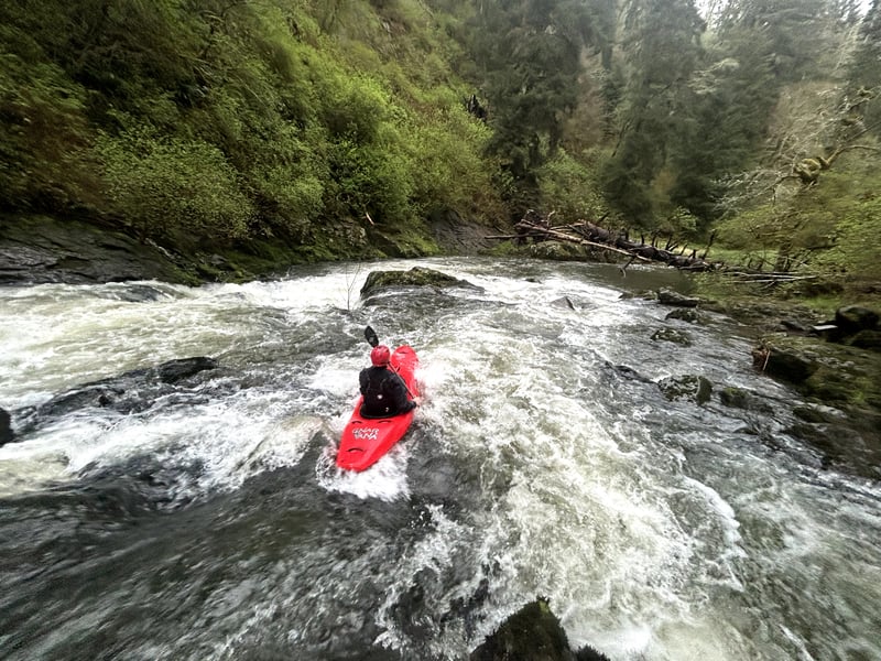 Muscott Rapid