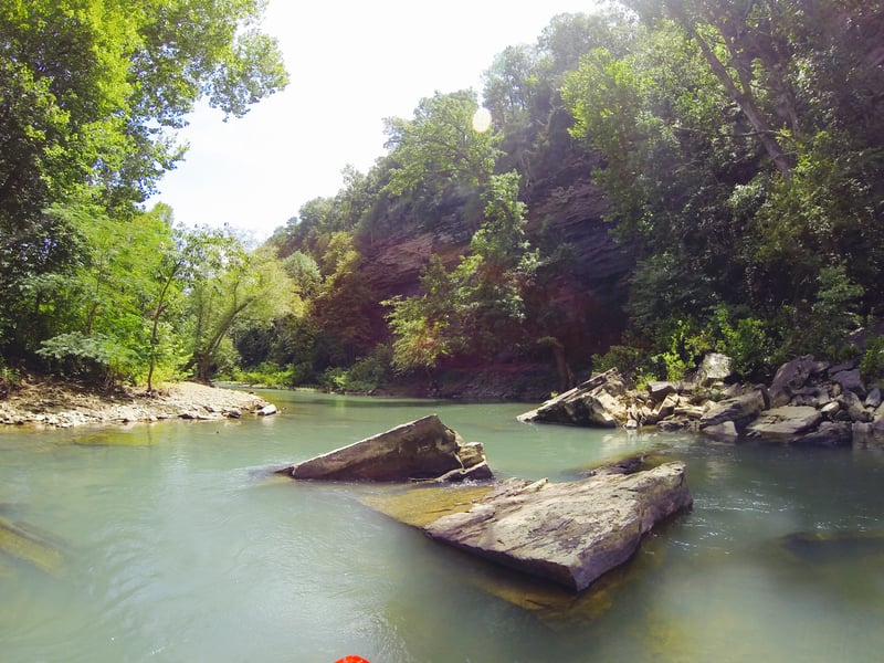 Lower Illinois Bayou