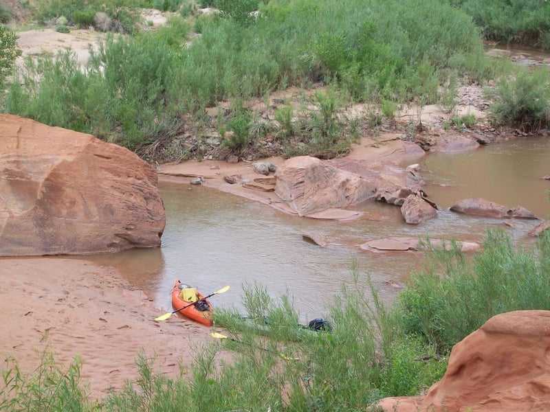 Escalante 2009