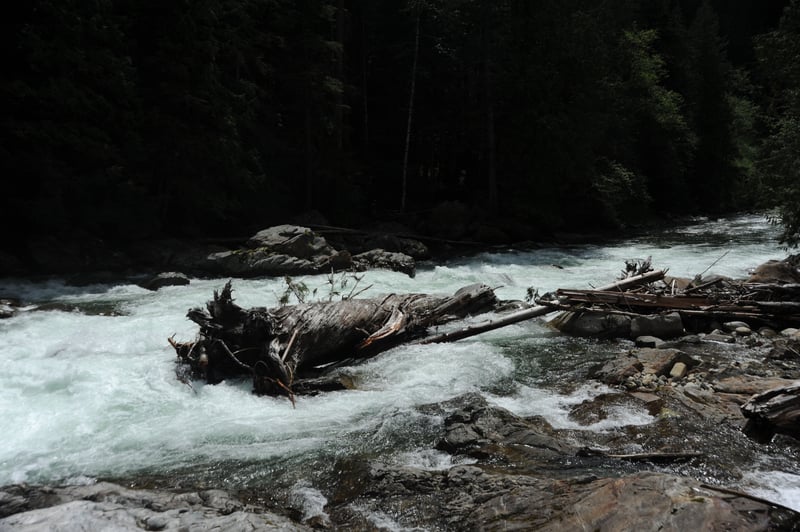 Large Log in the Landing Zone of Rooster Tail