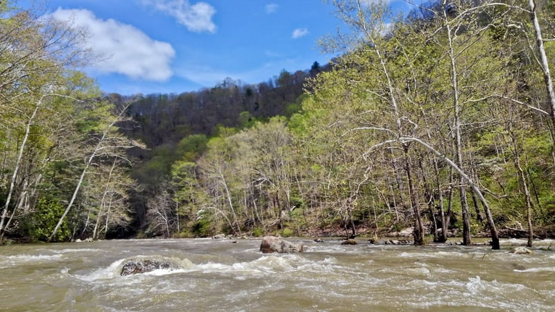 Typical rapids and scenery on lower Bluestone.