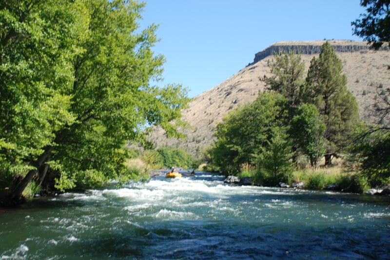 Lower Trout Creek Left Channel