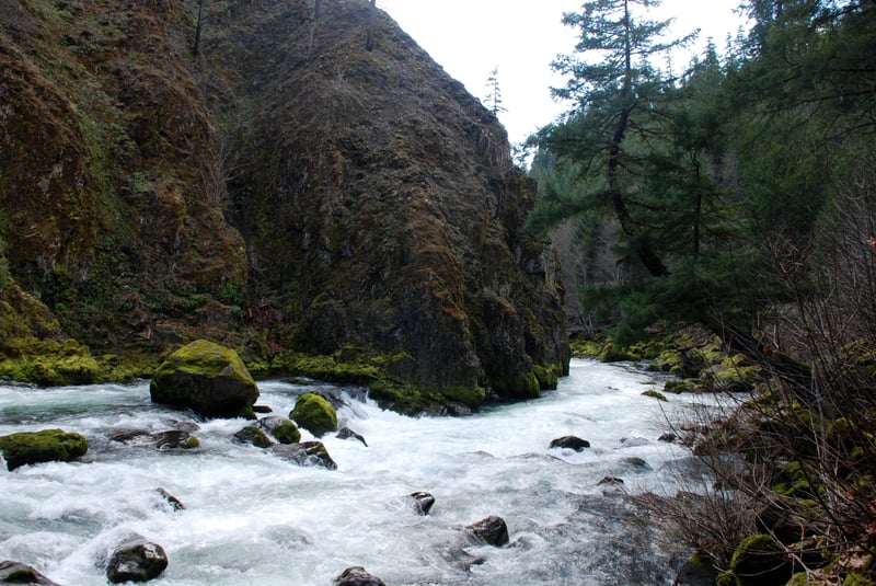 The Gorge
