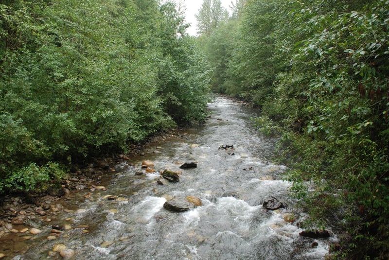 Illabot Creek