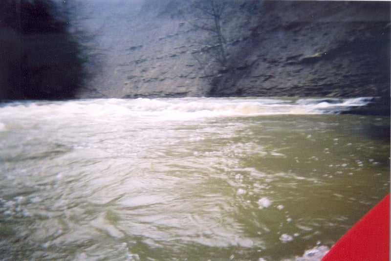 Typical Rapid