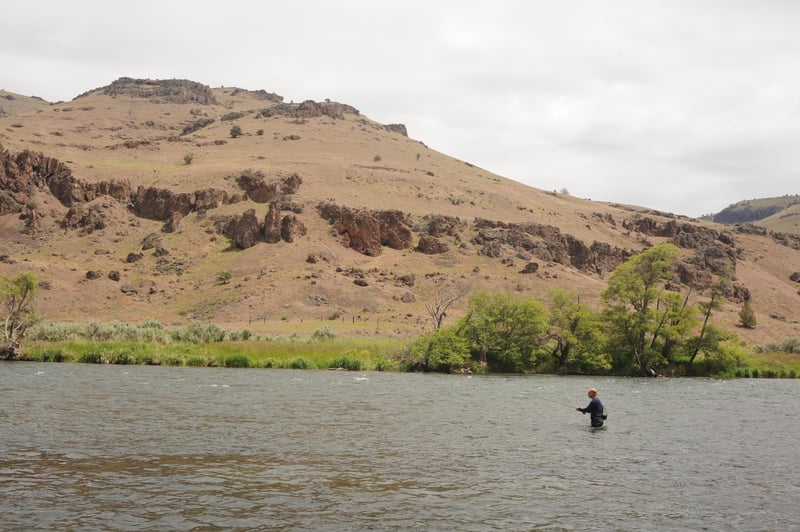Fly fishing Near Dixon Camp
