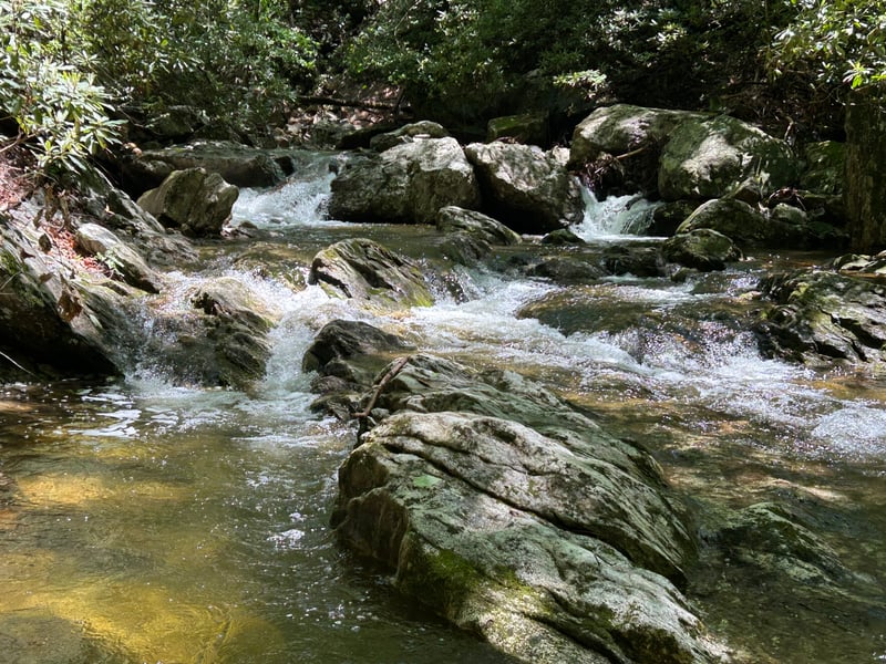 Rapid on Rockhouse Creek