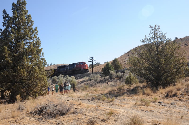 Train At Lower Redside