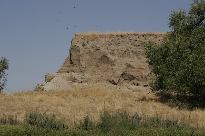Bluff