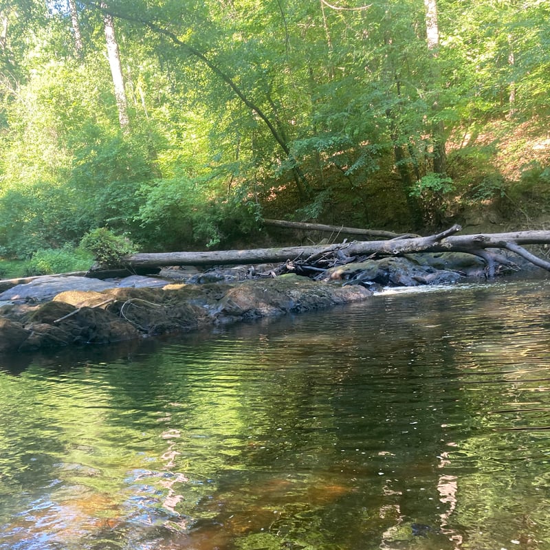 Ledge rapid near the end