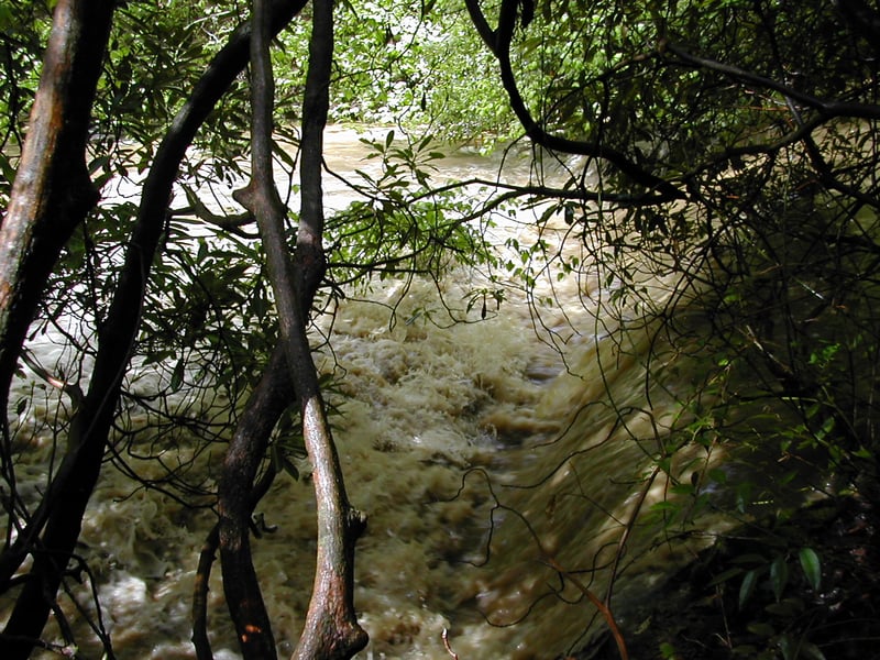 Second Drop - Middle Creek, NC