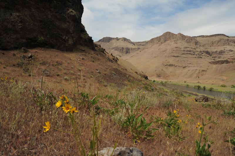 Looking Downriver Near Dixon Camp