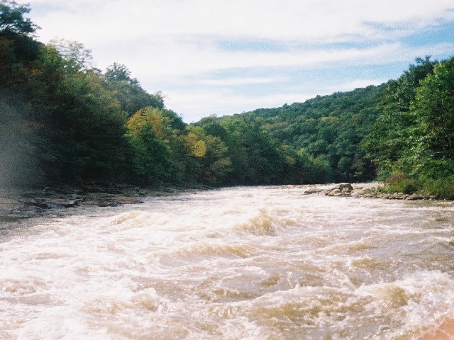 Maytag Rapid2
