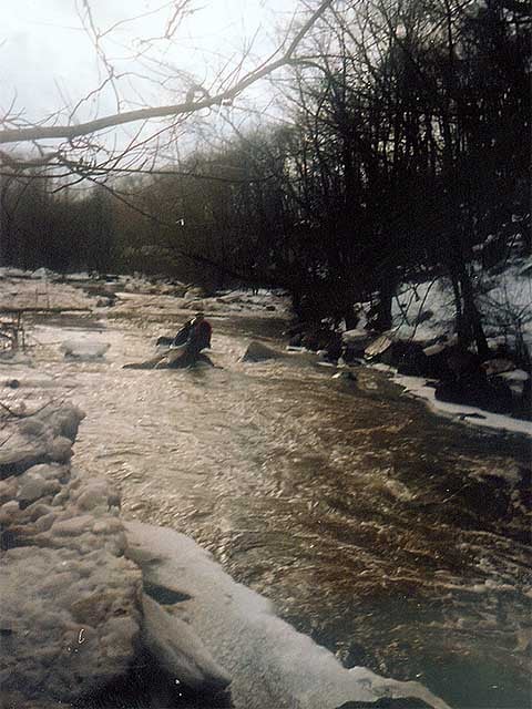 On a rock just below the RR bridge, after an early thaw.
