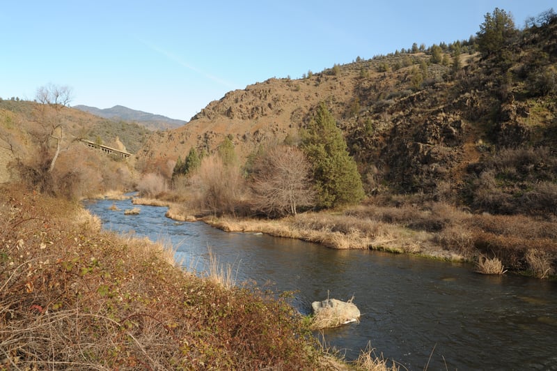 Shasta River