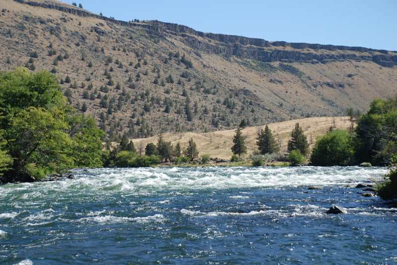 Lower Trout Creek Right Channel
