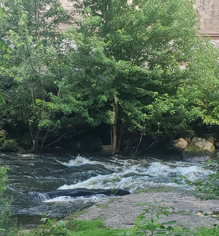 Cuyahoga (Kent) near Brady's Leap
