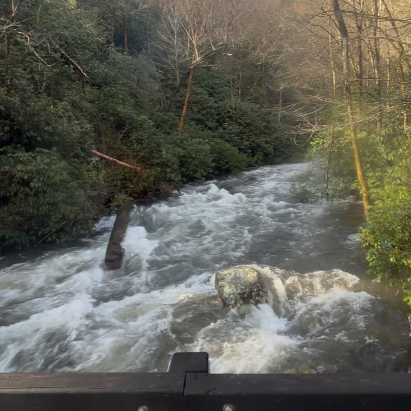 Rapid Upstream of First Bridge Crossing