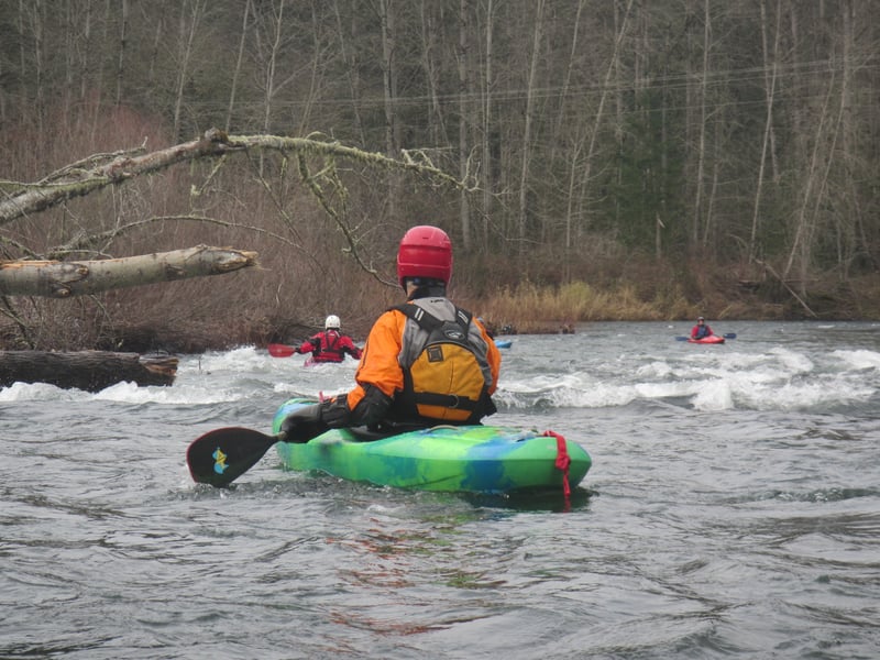 typical small rapid