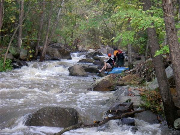 Big Rocky Run into Cub Run
