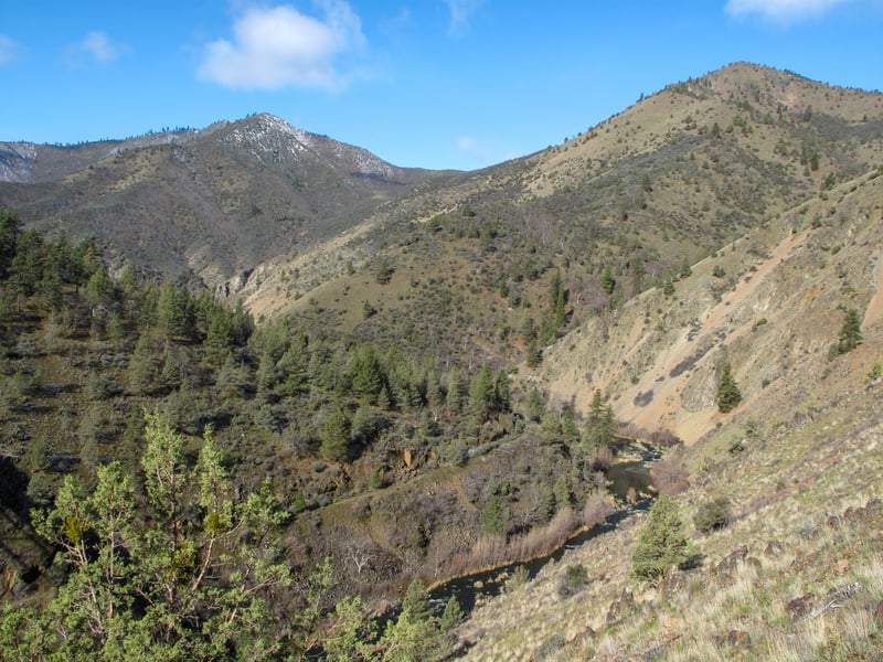 Shasta River