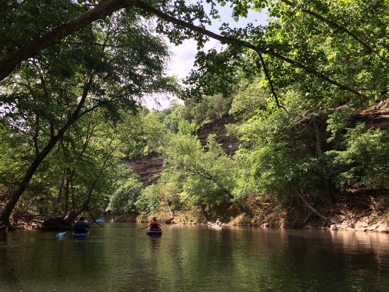 Cadron Creek @1) Hartwick Mill Run: Highway 124 to Pinnacle Springs (11 miles)